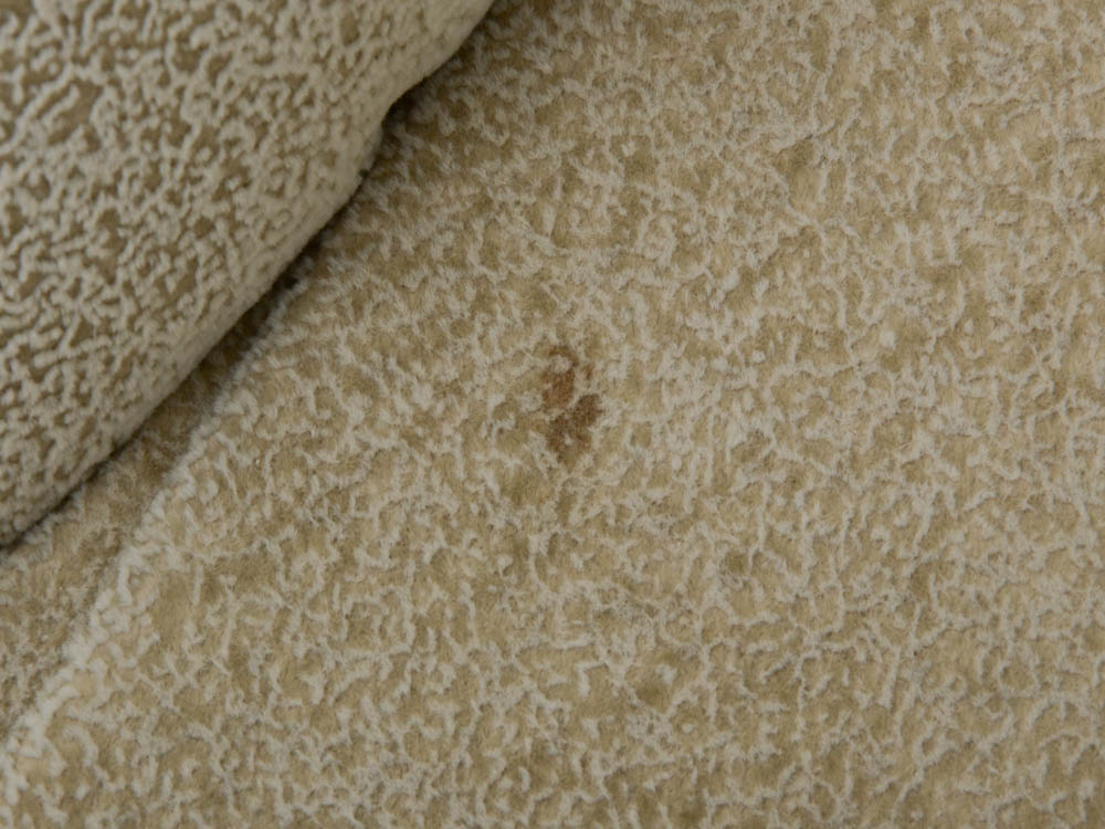 Carter Furniture Two Piece Sofa