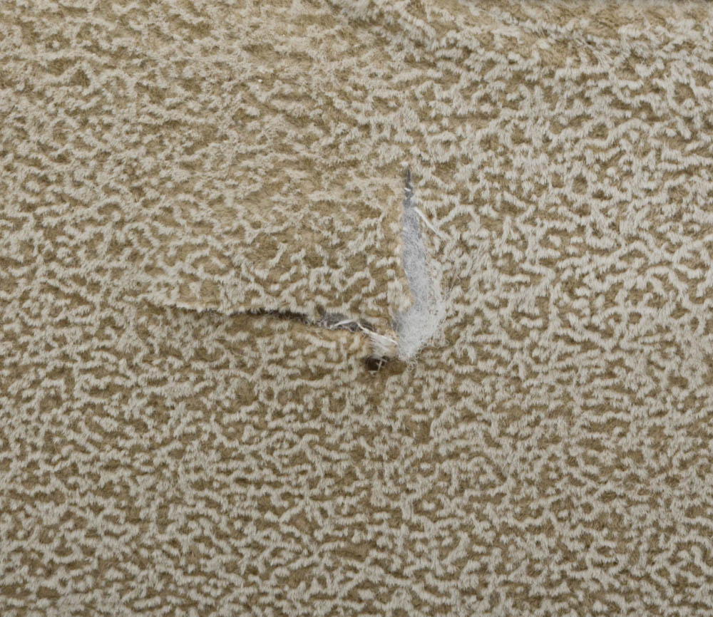 Carter Furniture Two Piece Sofa