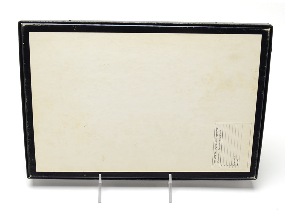 Collection of Stone Arrowheads