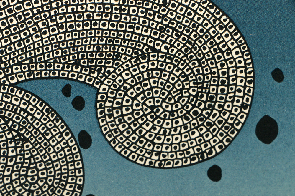 Kimiko Kojima Limited Edition Serigraph on Paper "Koito Botan"