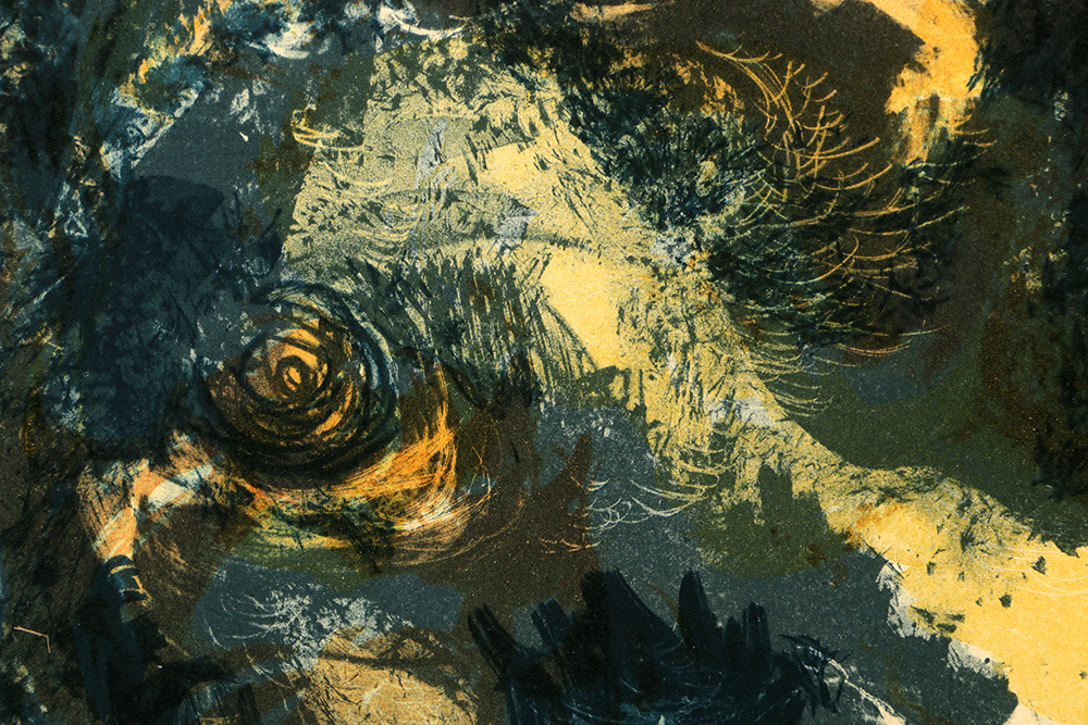 Limited Edition Lithograph on Paper "Hiding Birds"