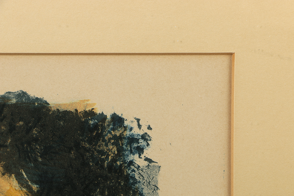 Limited Edition Lithograph on Paper "Hiding Birds"