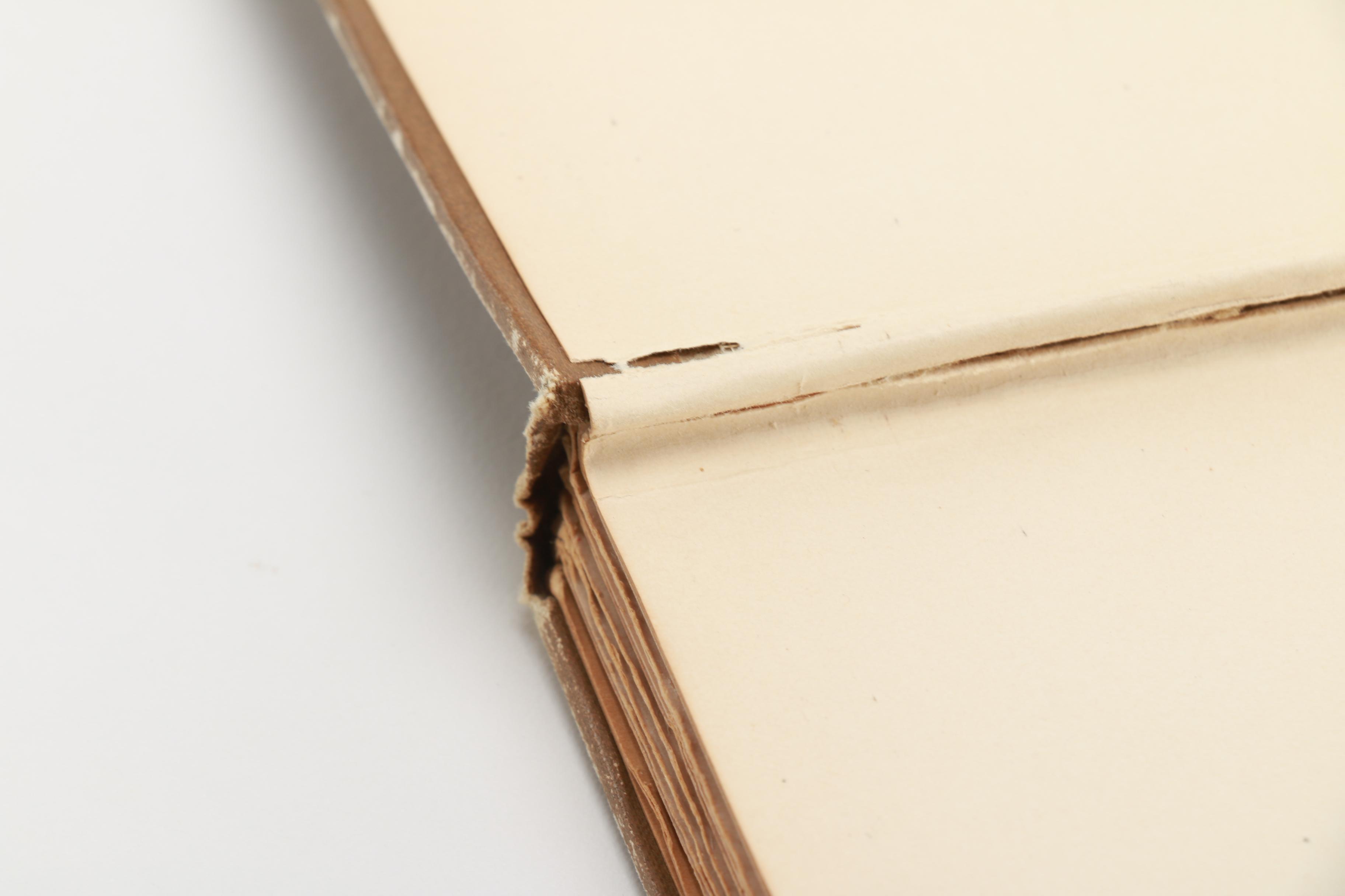 Assortment of Vintage Literature