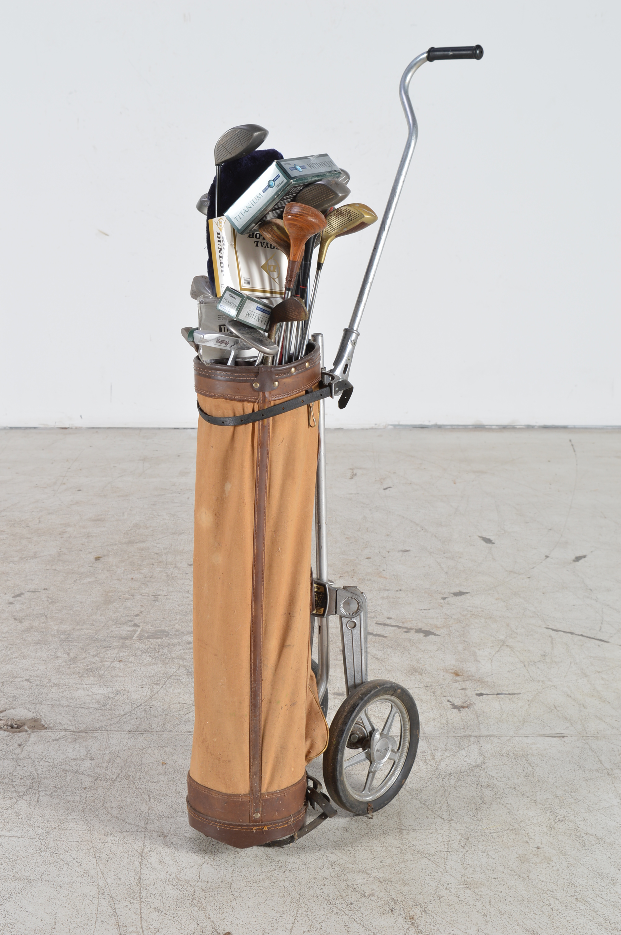 Vintage Golf Clubs and Caddy