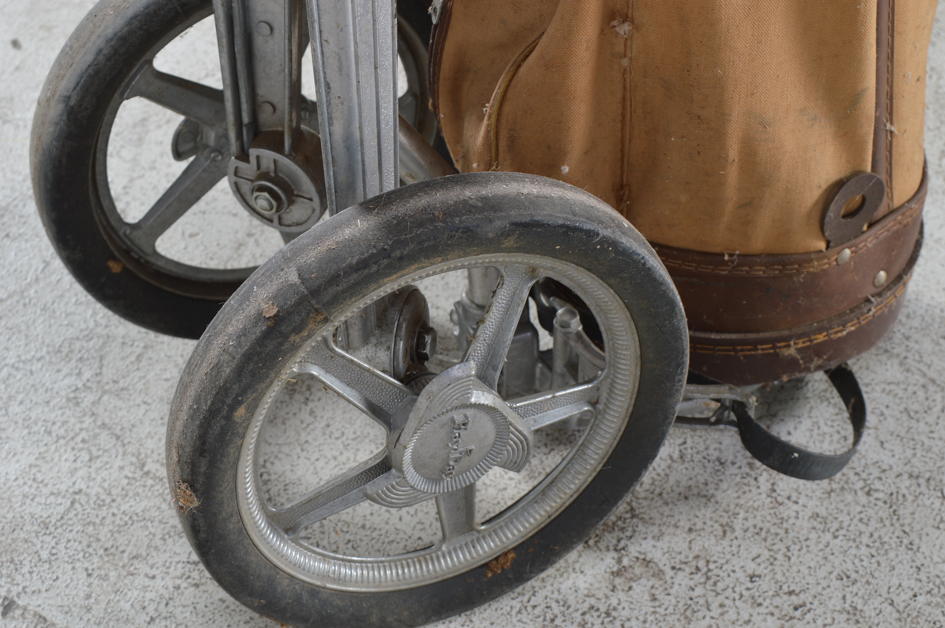 Vintage Golf Clubs and Caddy