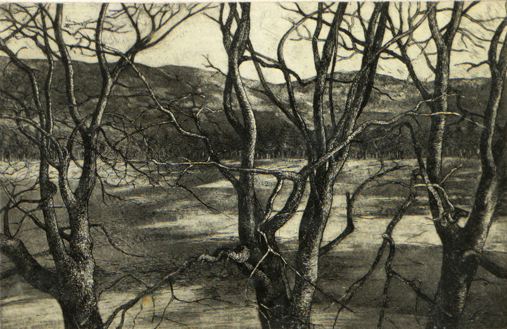 Adrian van Suchtelen Limited Edition Etching on Paper "Three Trees"