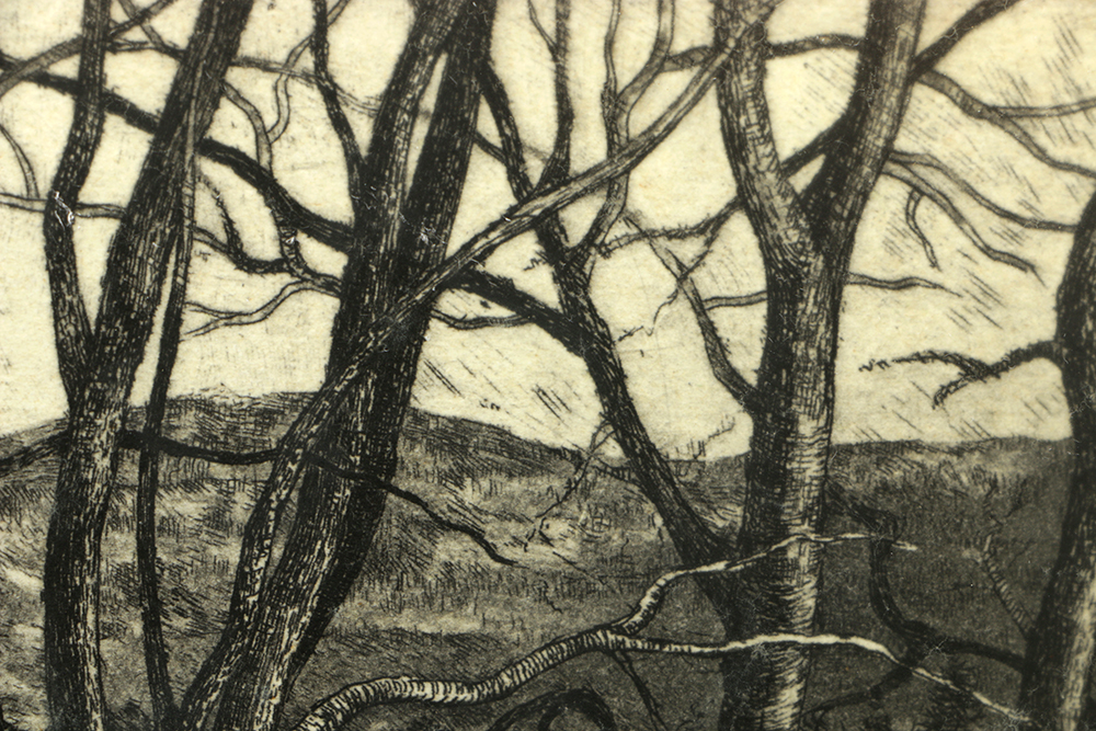 Adrian van Suchtelen Limited Edition Etching on Paper "Three Trees"