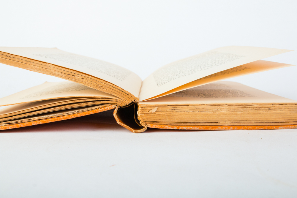 1925 First American Edition, First Printing "Mrs. Dalloway" by Virginia Woolf