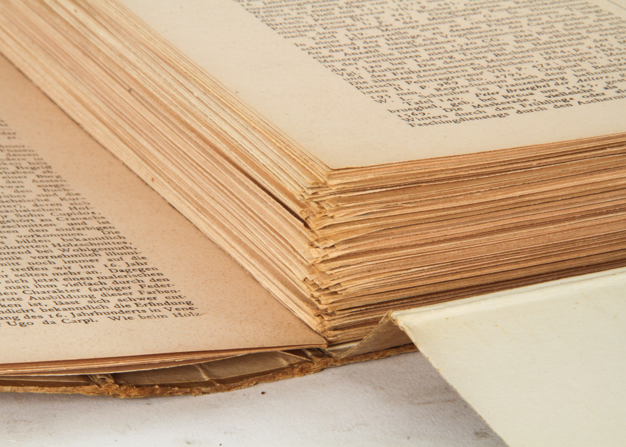 Georg Hirth and Richard Muther "Meister-Holzschnitte aus vier Jahrhunderten," Book