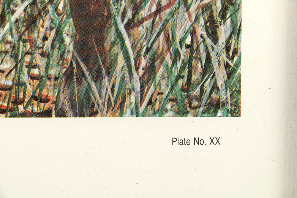 William Leslie Vanhook Signed Limited Edition Offset Lithograph "Zeb"