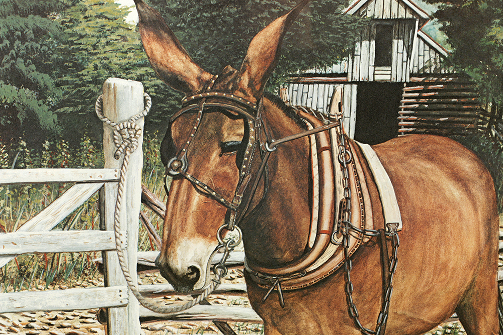 William Leslie Vanhook Signed Limited Edition Offset Lithograph "Zeb"