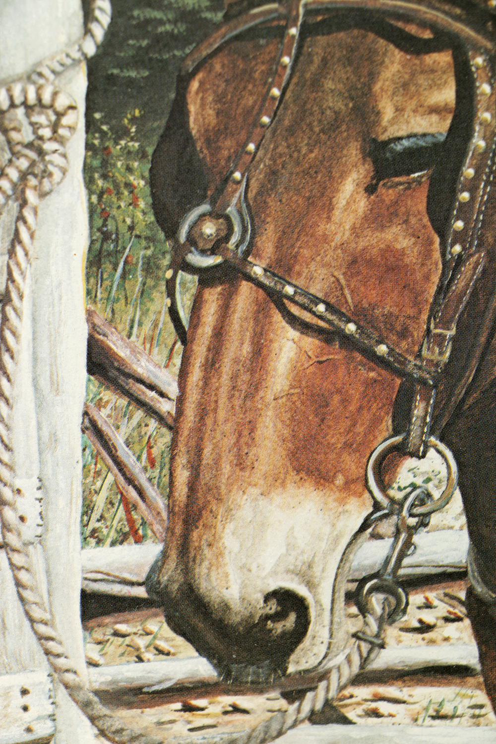 William Leslie Vanhook Signed Limited Edition Offset Lithograph "Zeb"