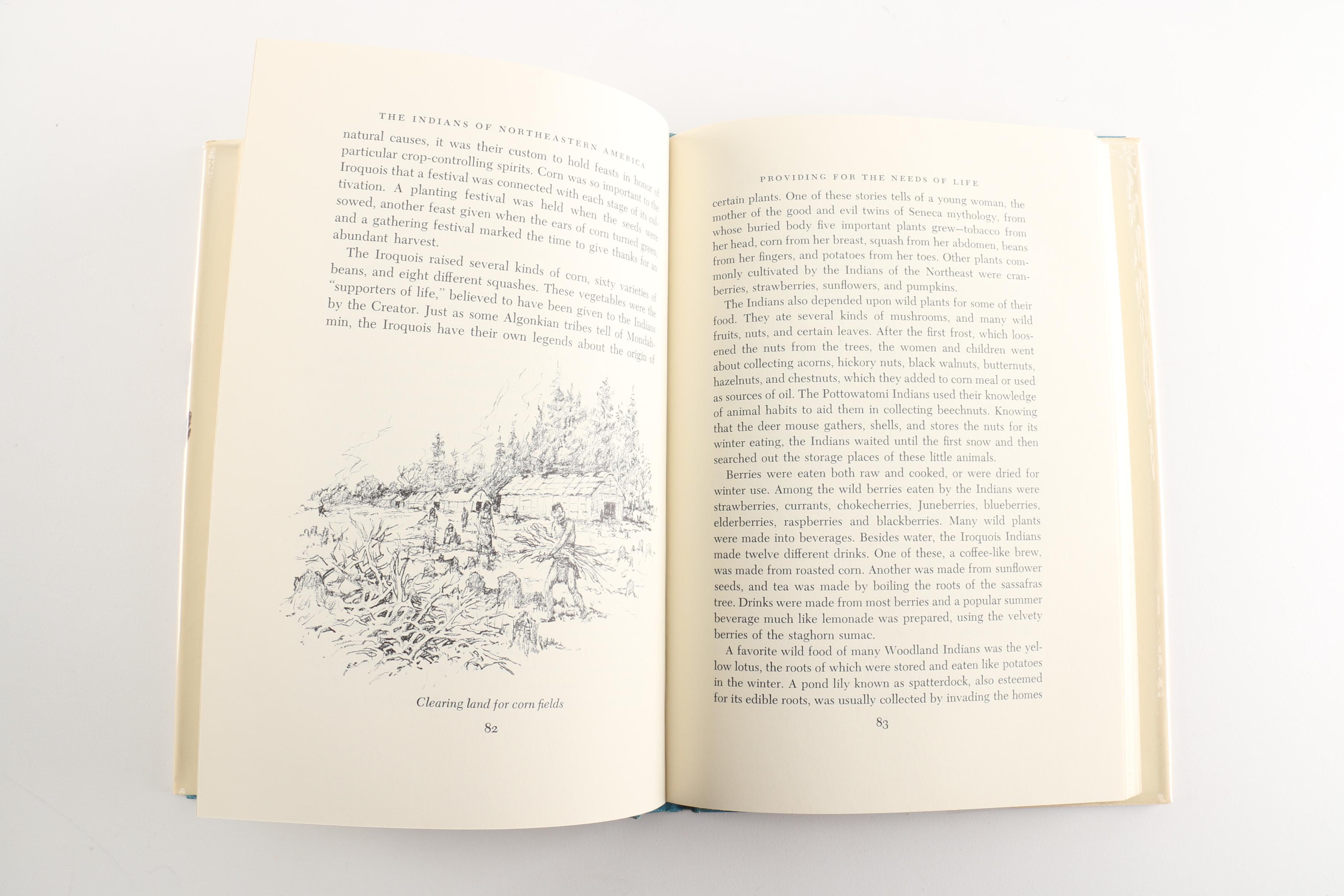 Assortment of Books on Native American History