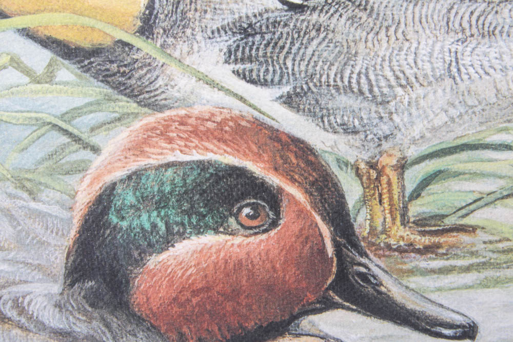 Jim Foote Limited Edition Offset Lithograph With Drawing