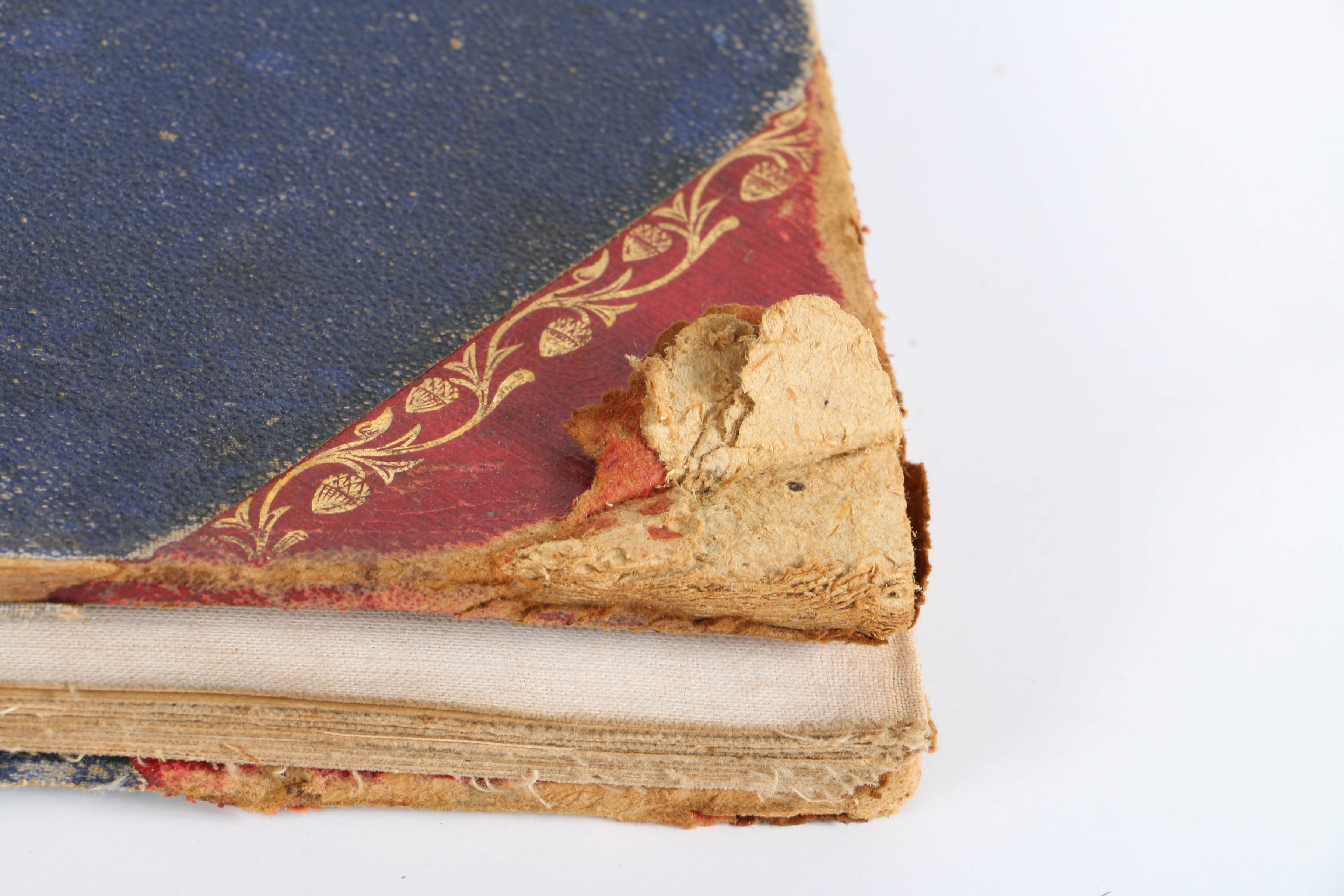 1871 "Adams Illustrated Panorama of History"