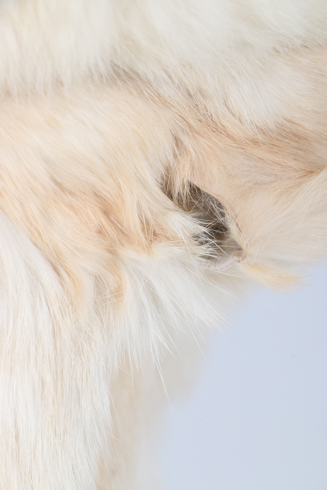 Vintage Elam Rabbit Fur Coat