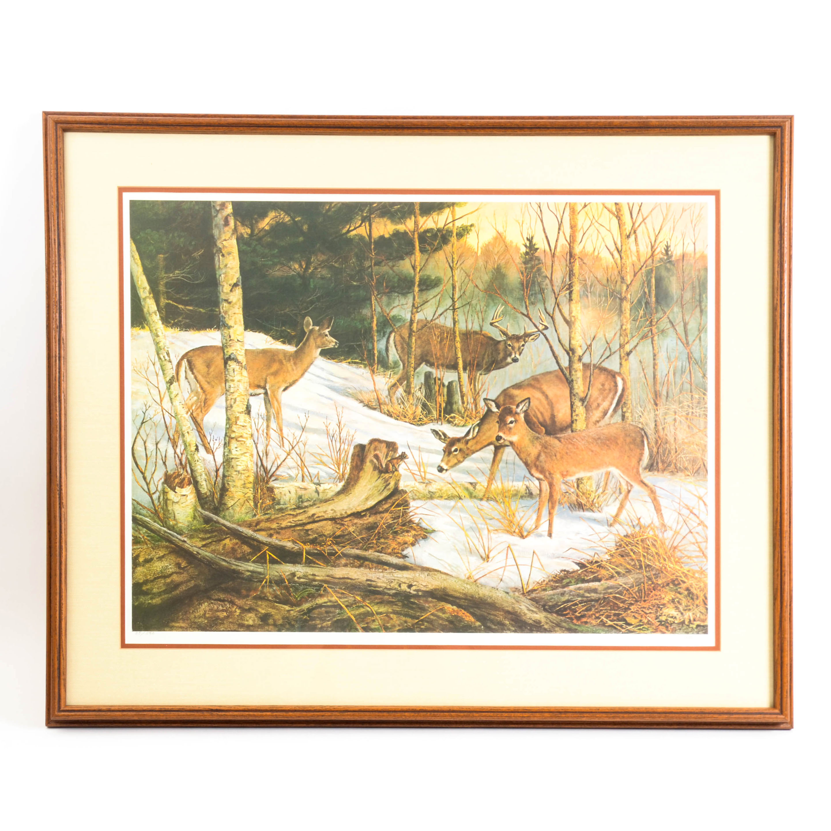 Jim Foote Limited Edition Offset Lithograph of Woodland Scene