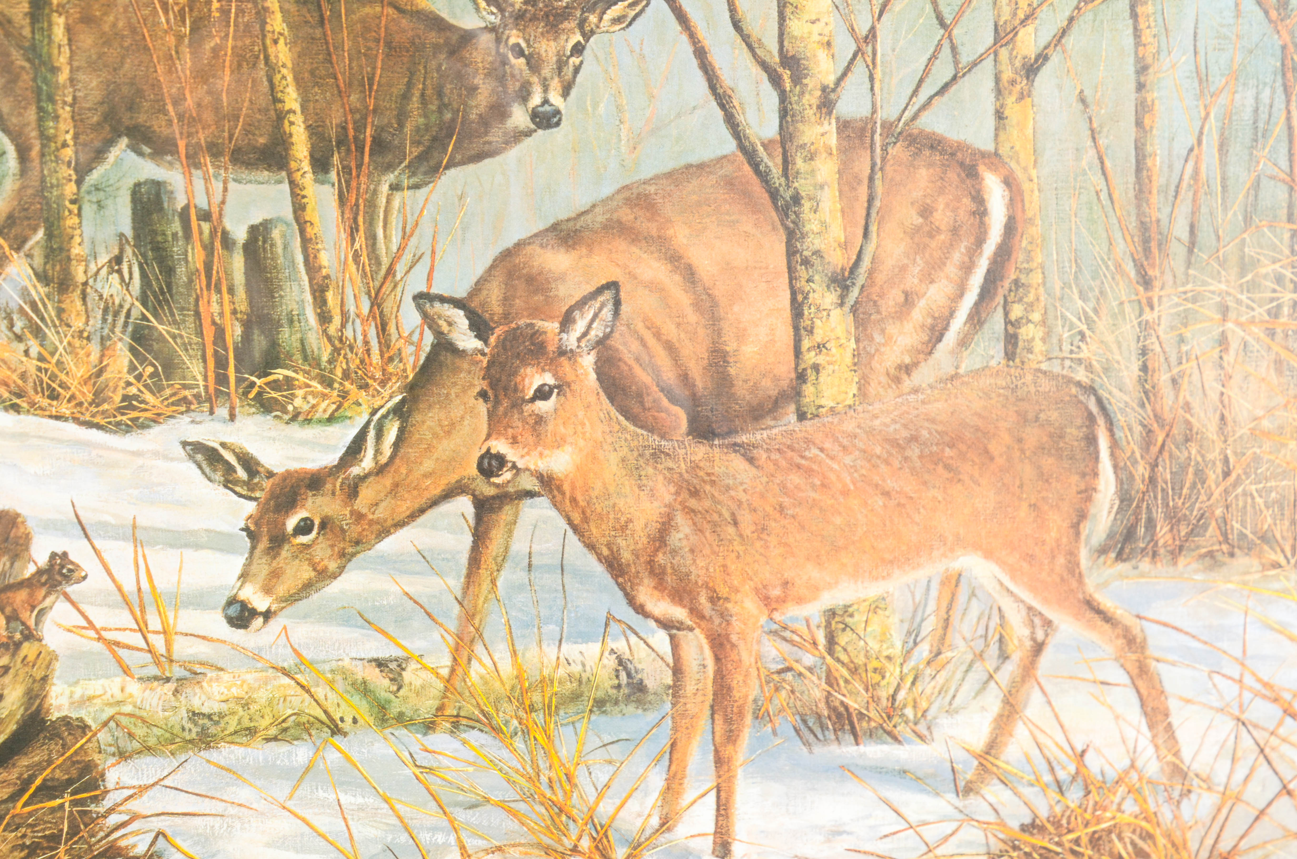 Jim Foote Limited Edition Offset Lithograph of Woodland Scene