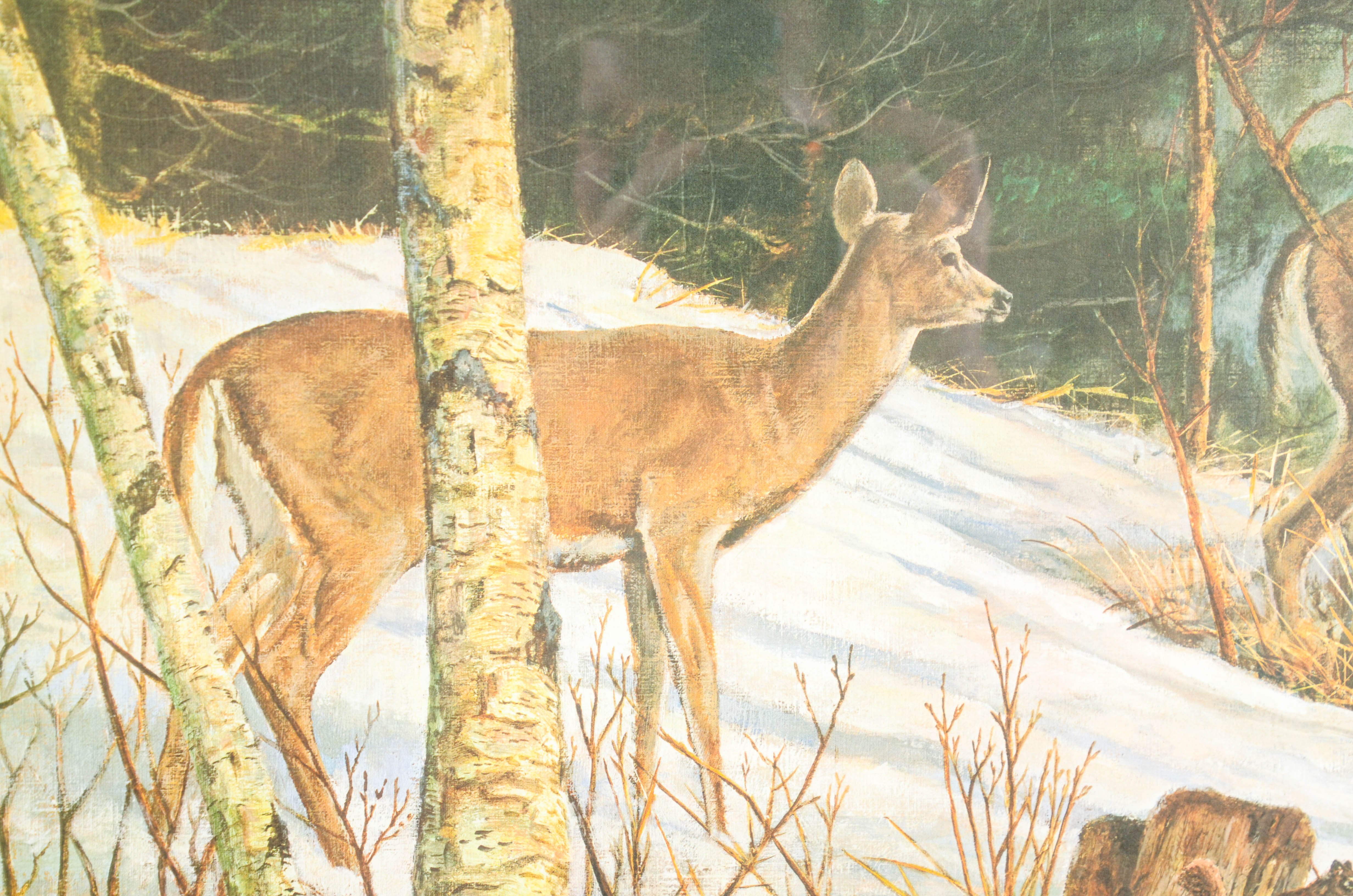 Jim Foote Limited Edition Offset Lithograph of Woodland Scene