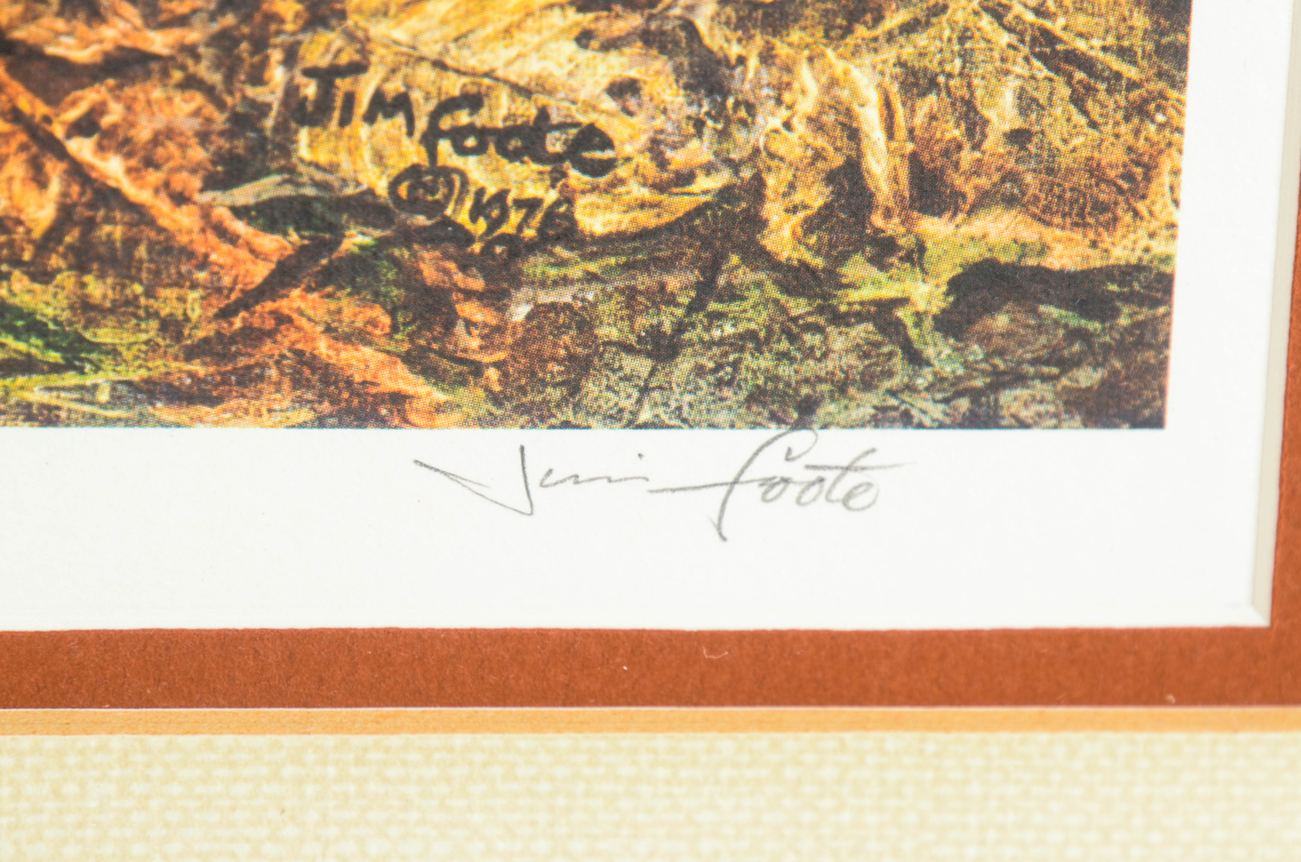 Jim Foote Limited Edition Offset Lithograph of Woodland Scene