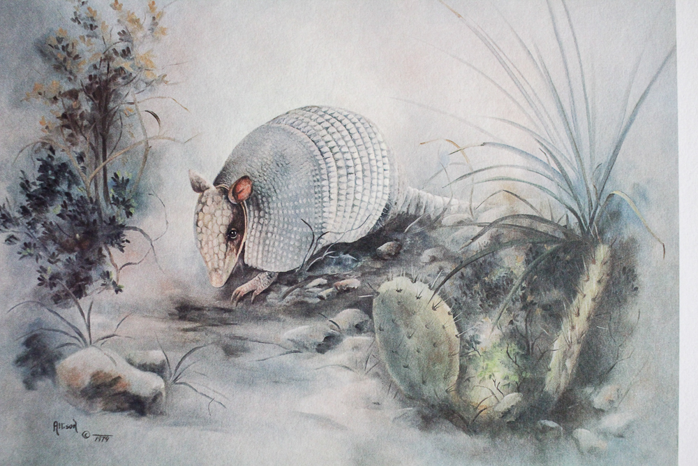 1979 After Betty Allison Offset Lithograph "Night Critter"