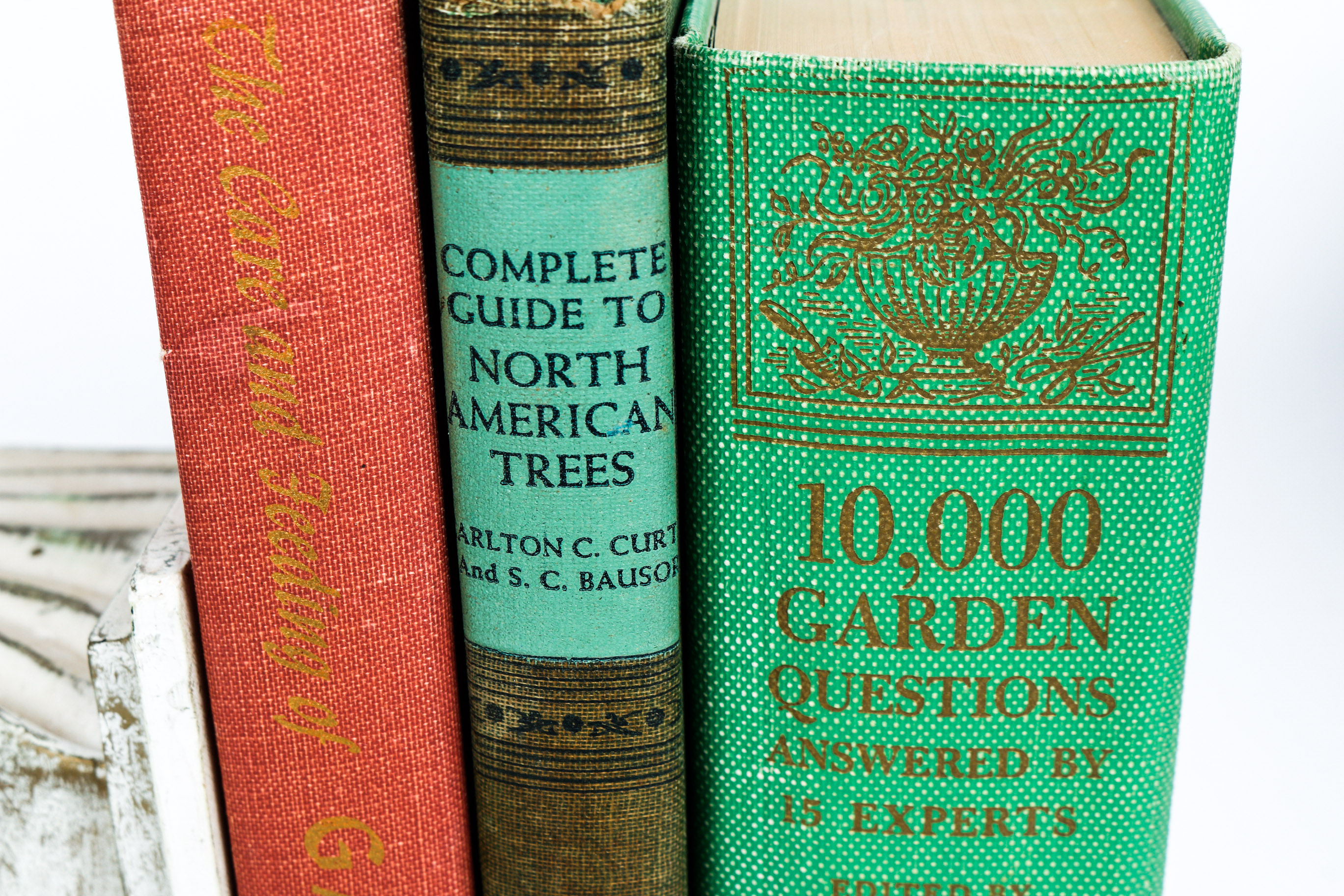 Feminine Garden Decor Grouping