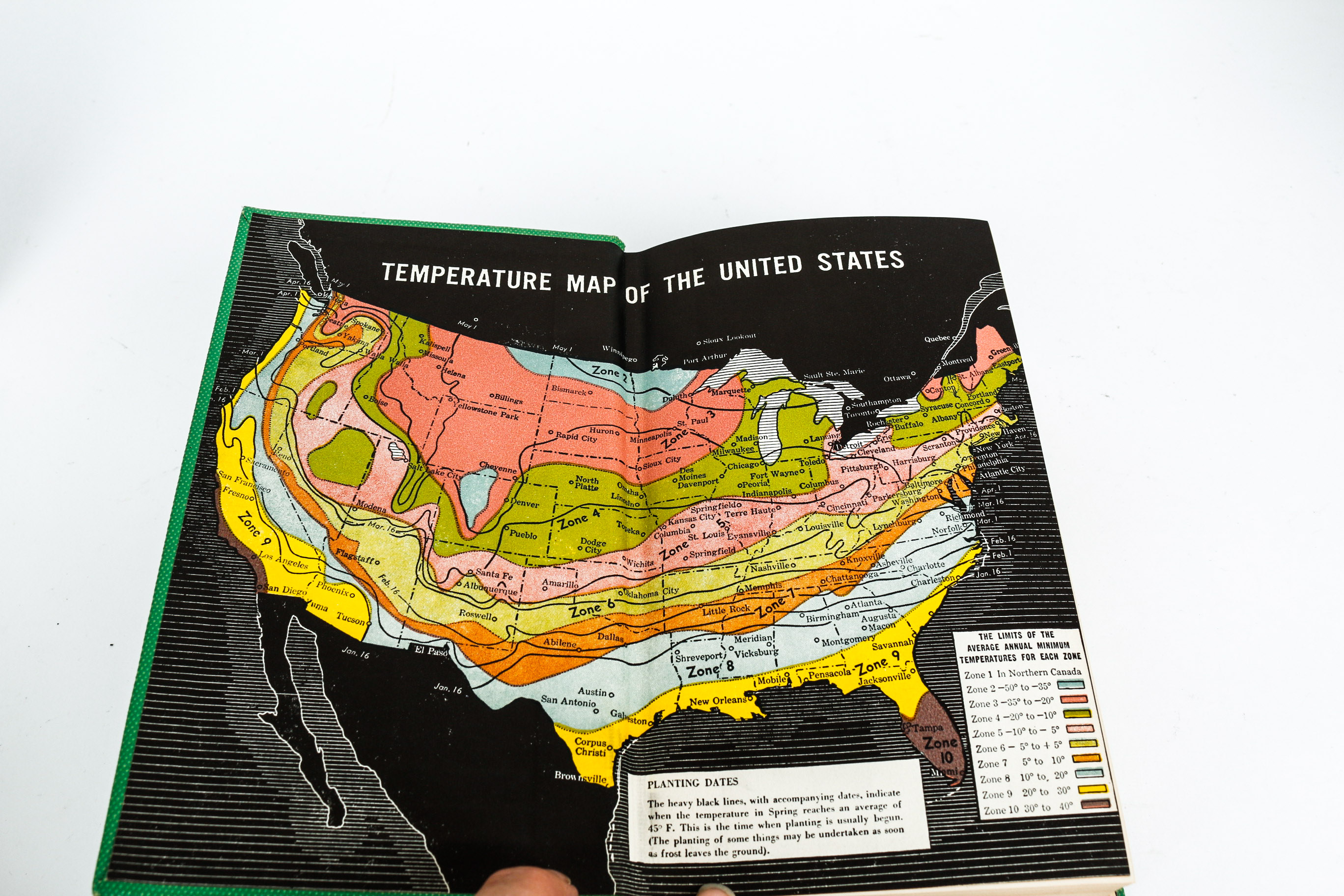 Feminine Garden Decor Grouping