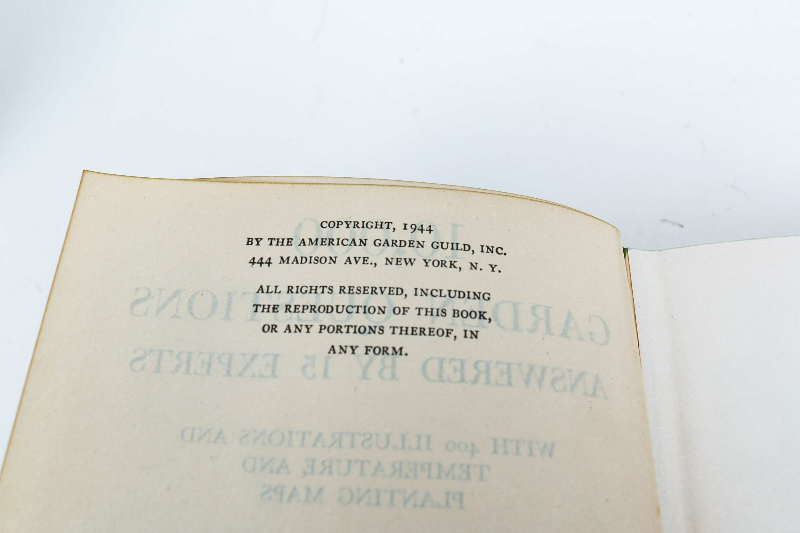 Feminine Garden Decor Grouping