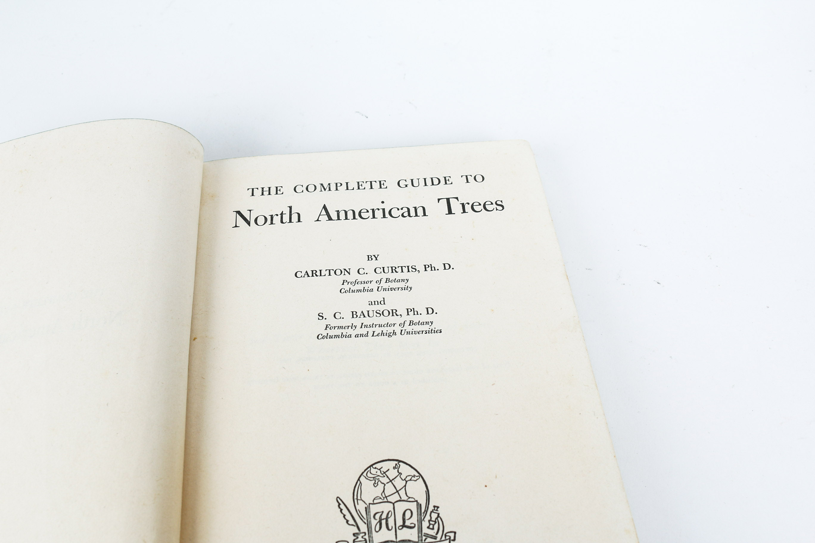 Feminine Garden Decor Grouping