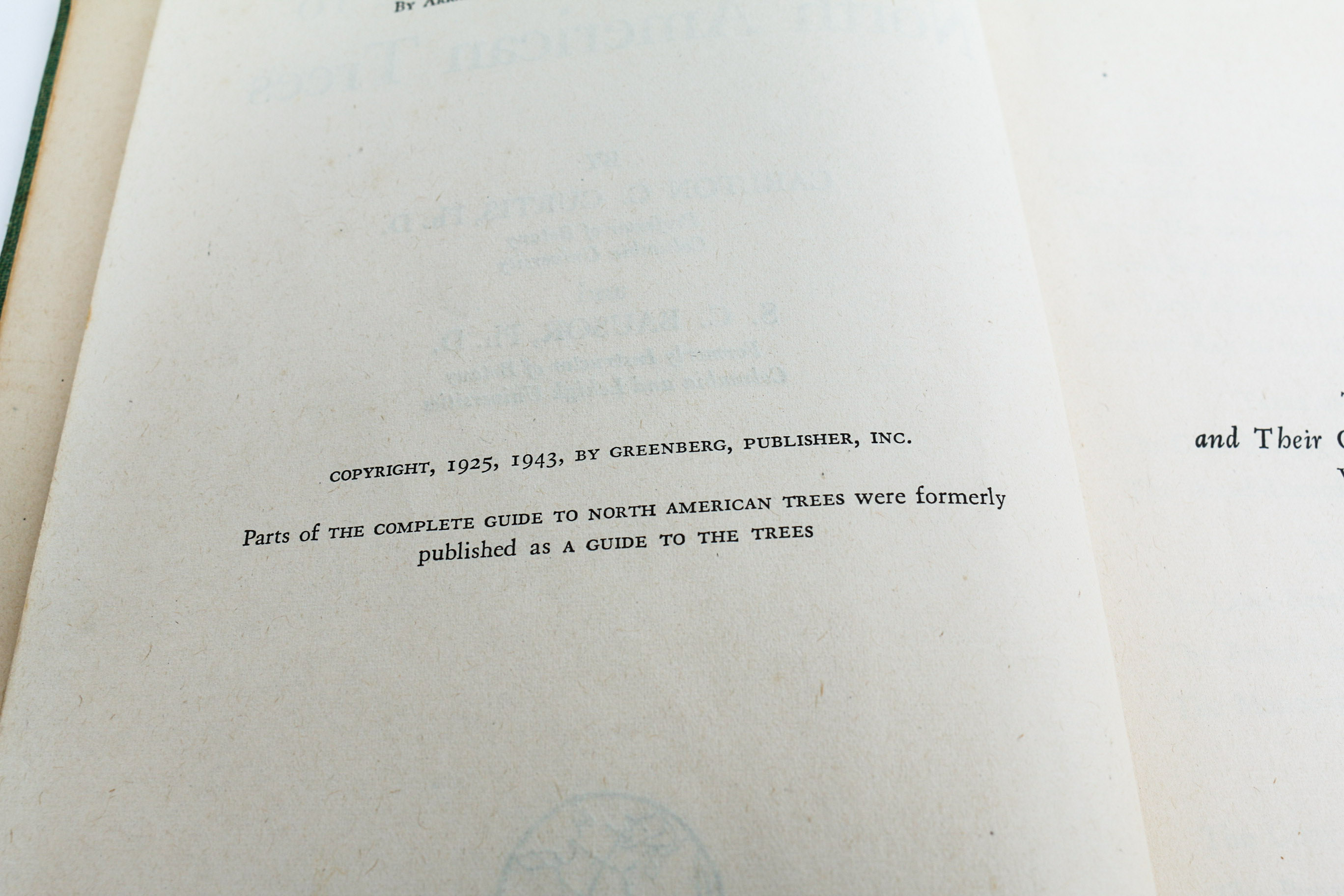 Feminine Garden Decor Grouping