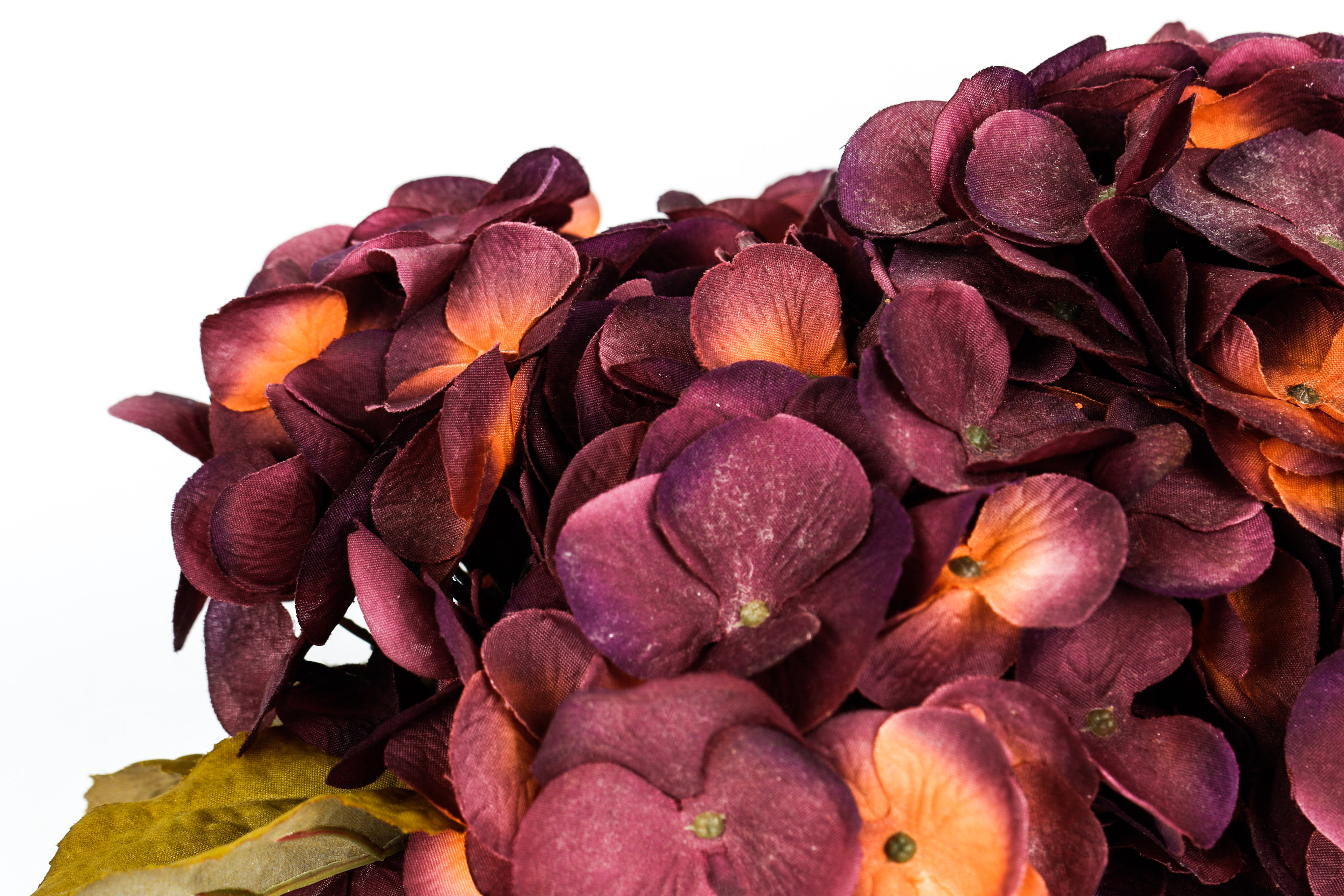 Feminine Garden Decor Grouping