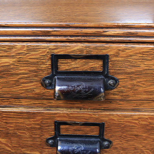 Vintage Oak Specimen Cabinet