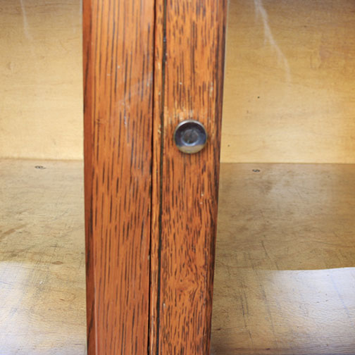 Vintage Oak Specimen Cabinet