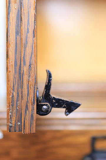 Vintage Oak Specimen Cabinet