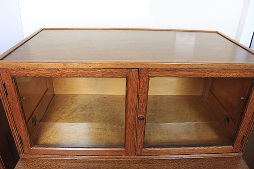 Vintage Oak Specimen Cabinet