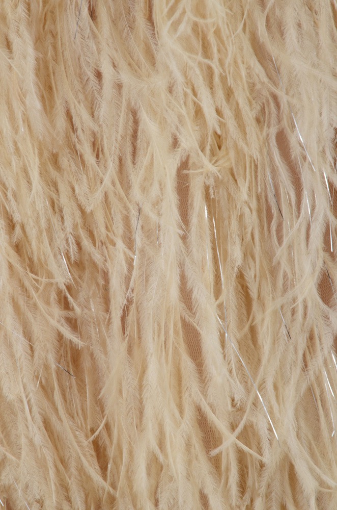 Terani Couture Beaded Gown with Ostrich Feathers