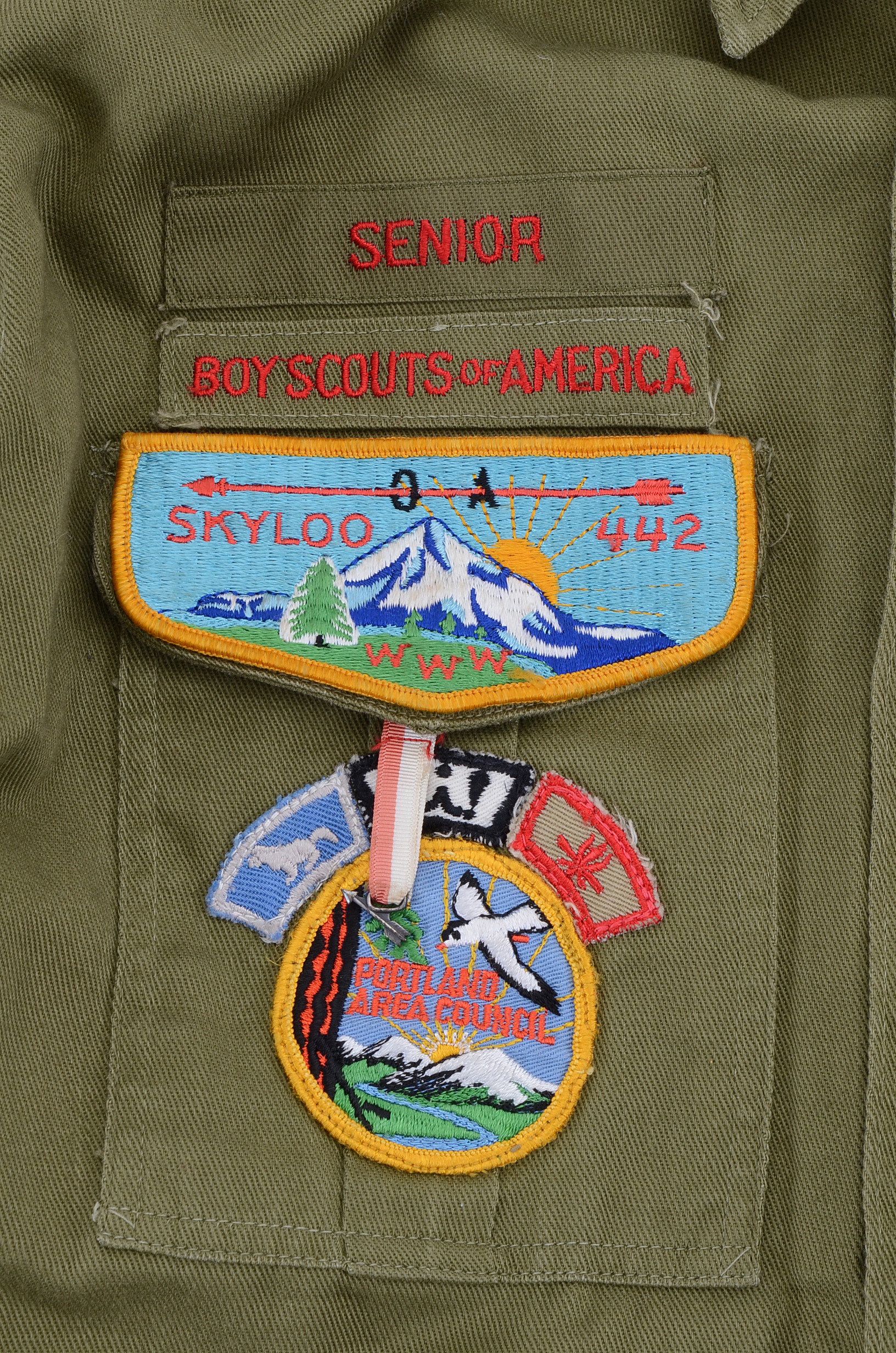 Boy Scouts Of America Uniform with Patches and Pins