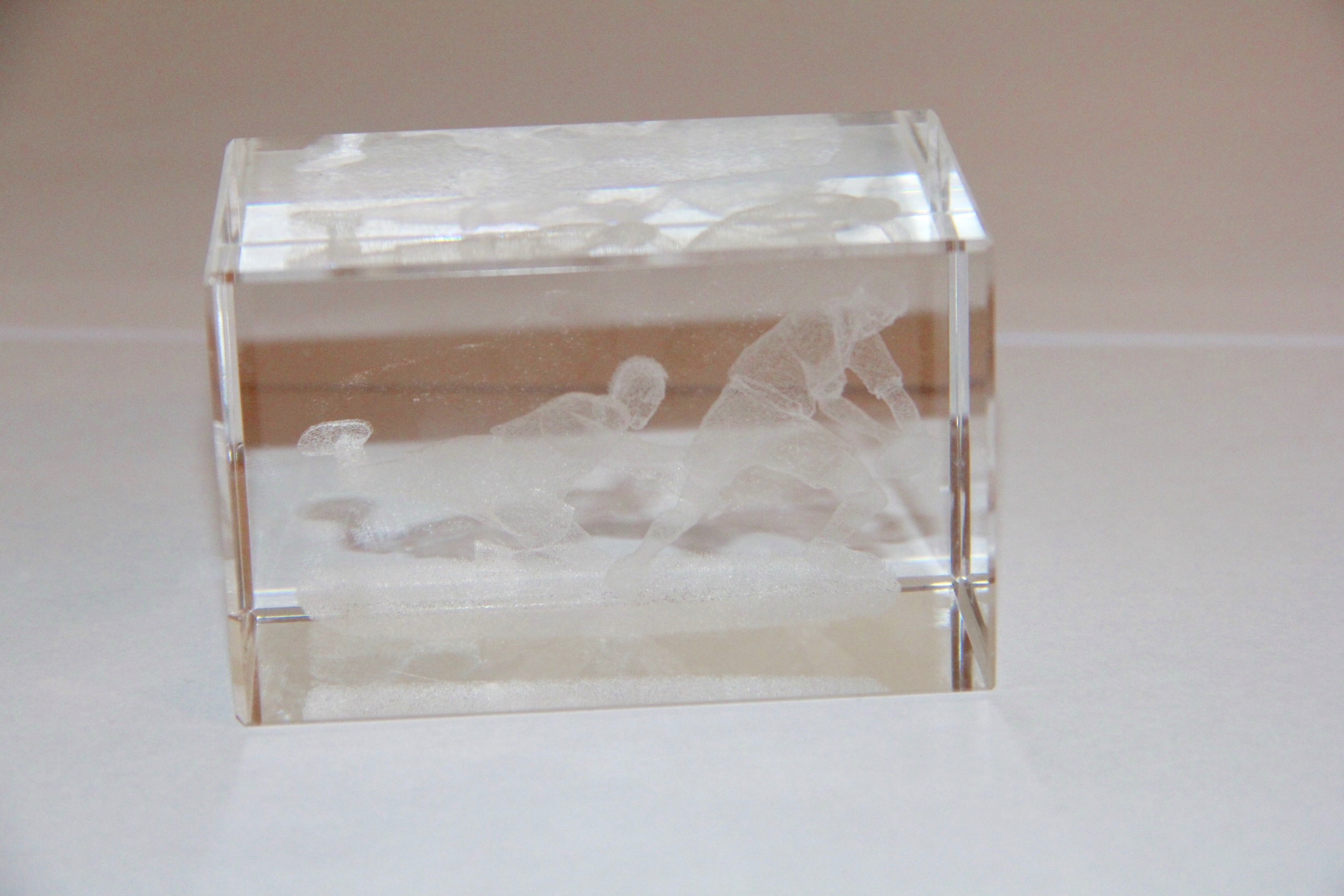 Pair of Sports Themed Lucite Paperweights