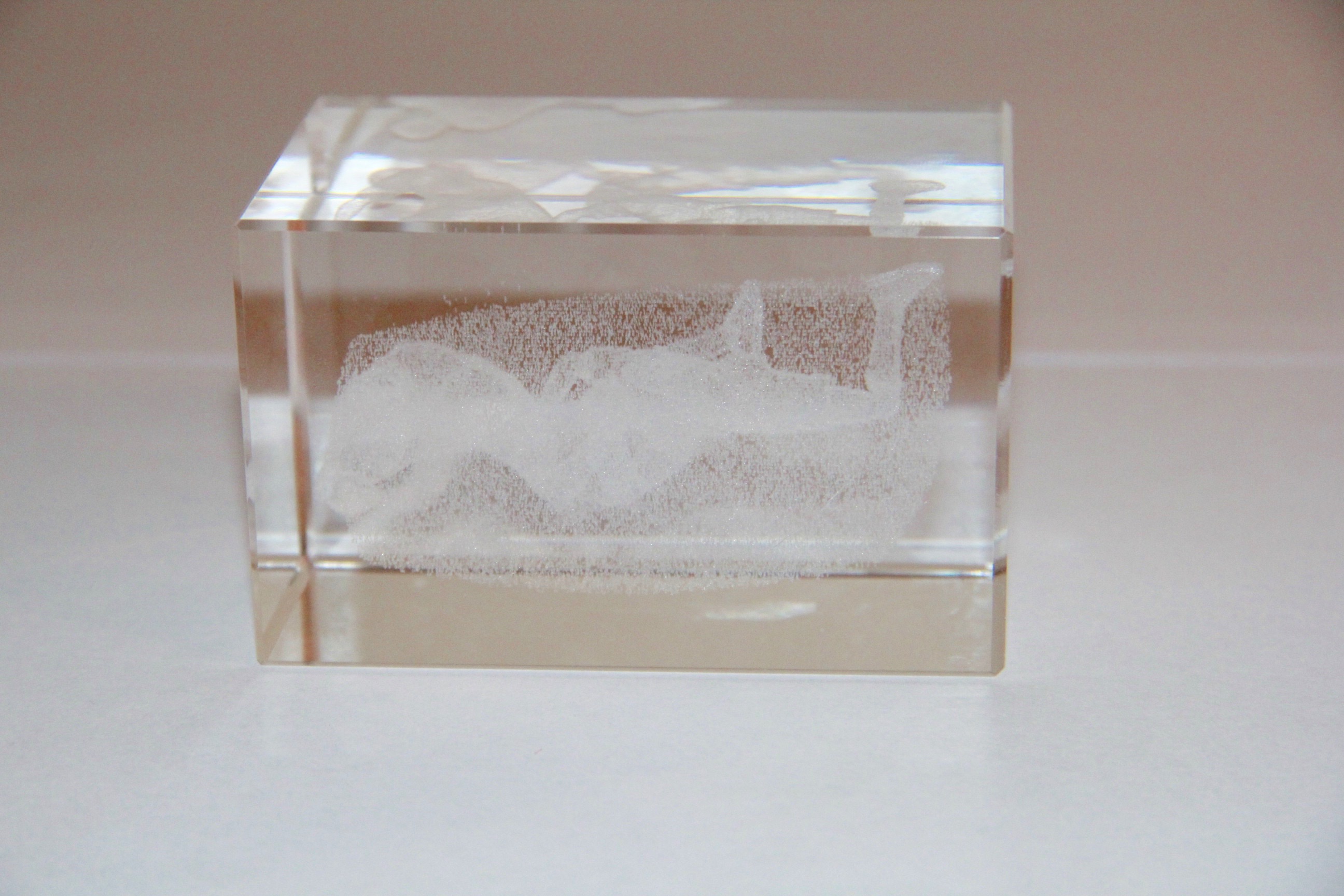 Pair of Sports Themed Lucite Paperweights