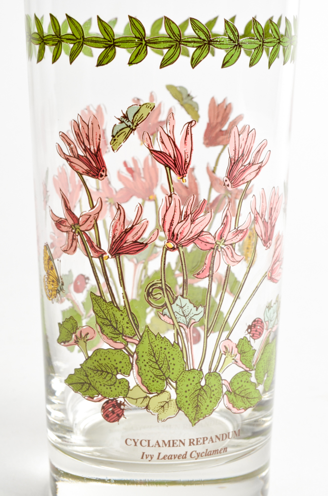 Portmeirion "Botanic Garden" Hiballs