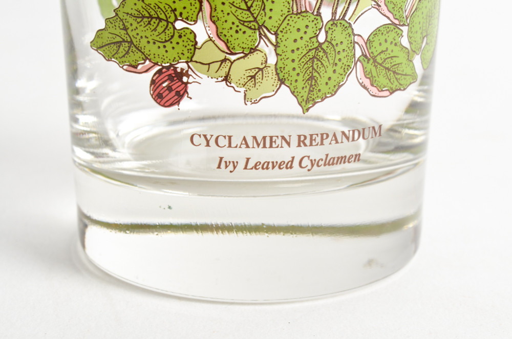 Portmeirion "Botanic Garden" Hiballs