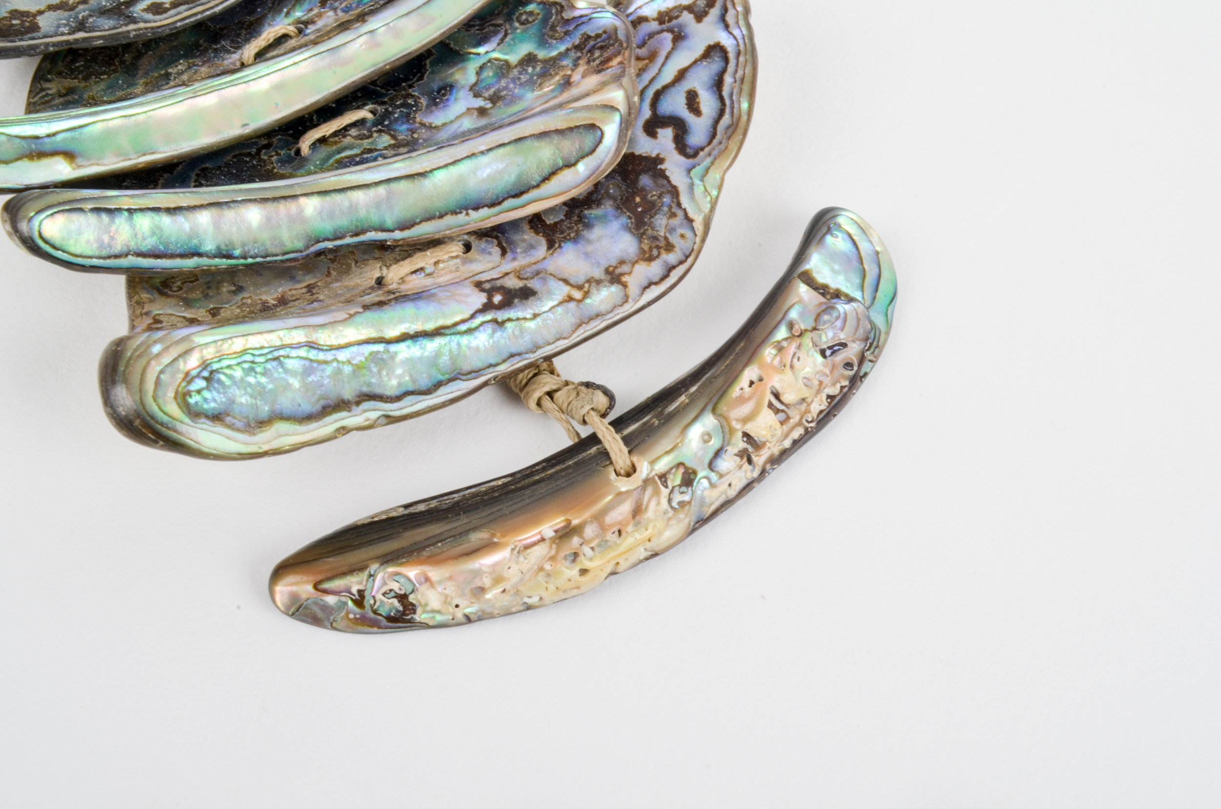 Abalone Shell Bracelet