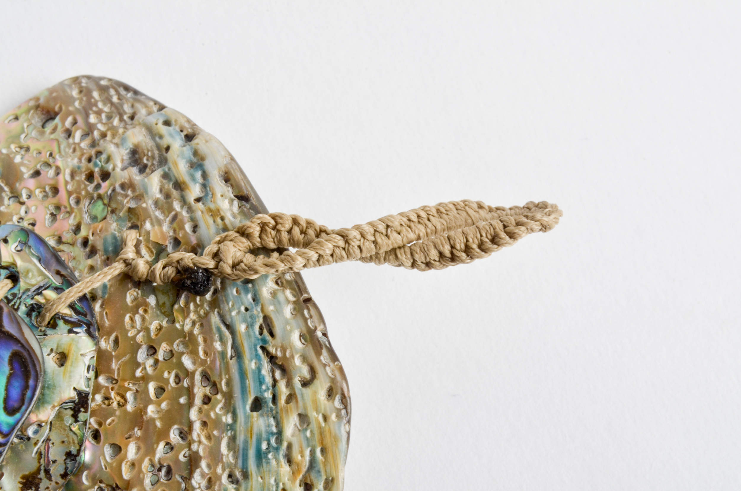 Abalone Shell Bracelet