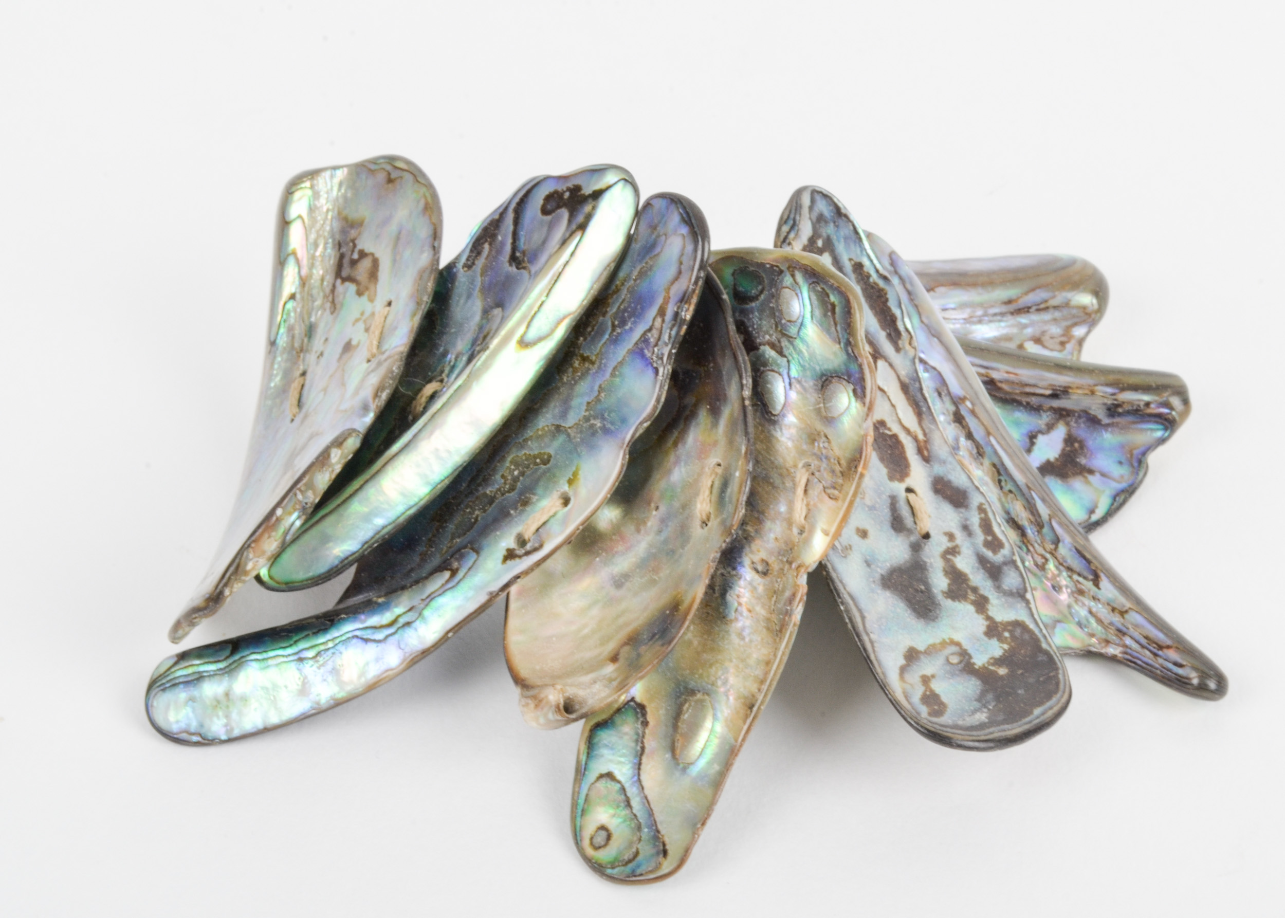 Abalone Shell Bracelet