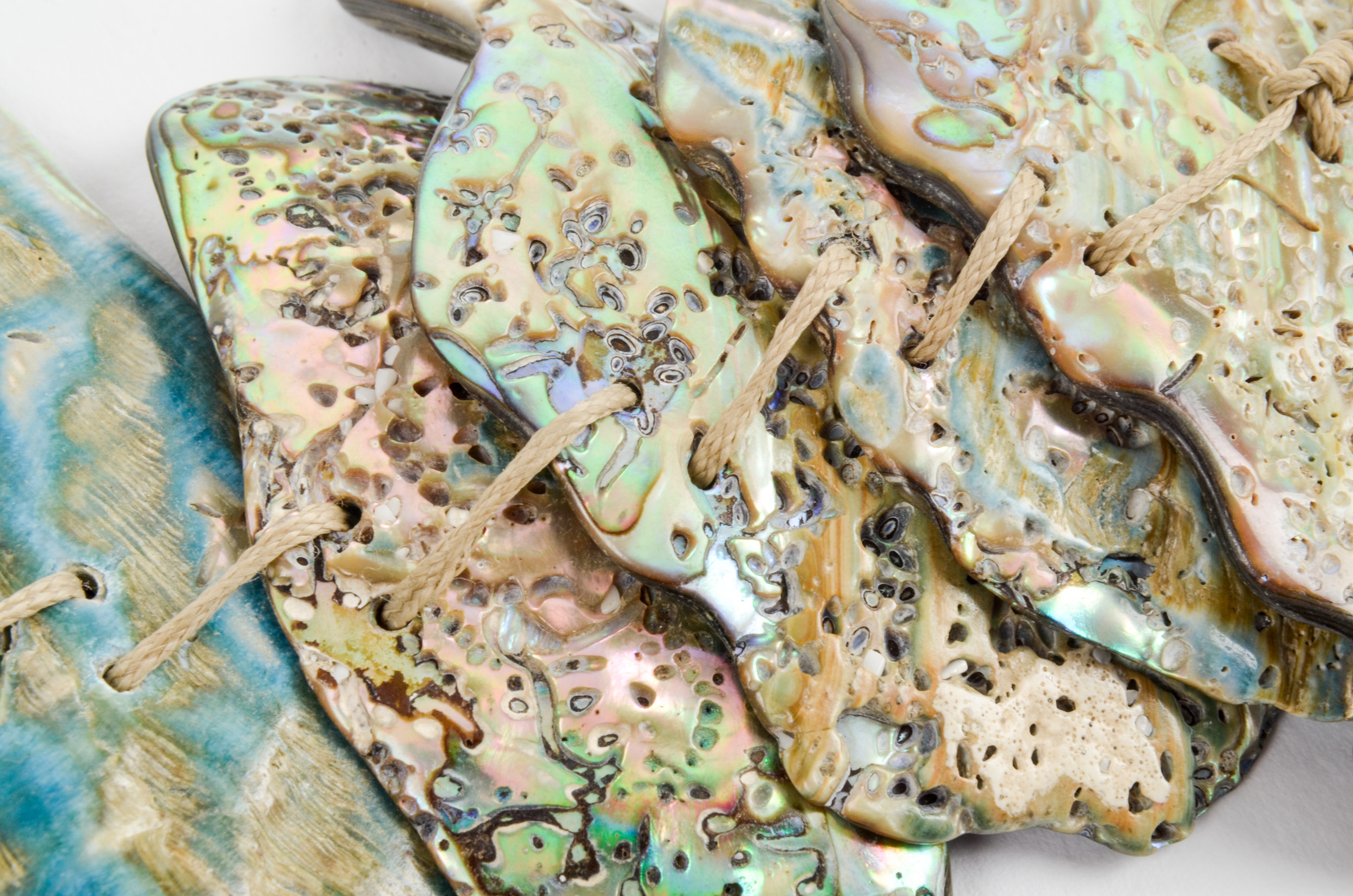 Abalone Shell Bracelet