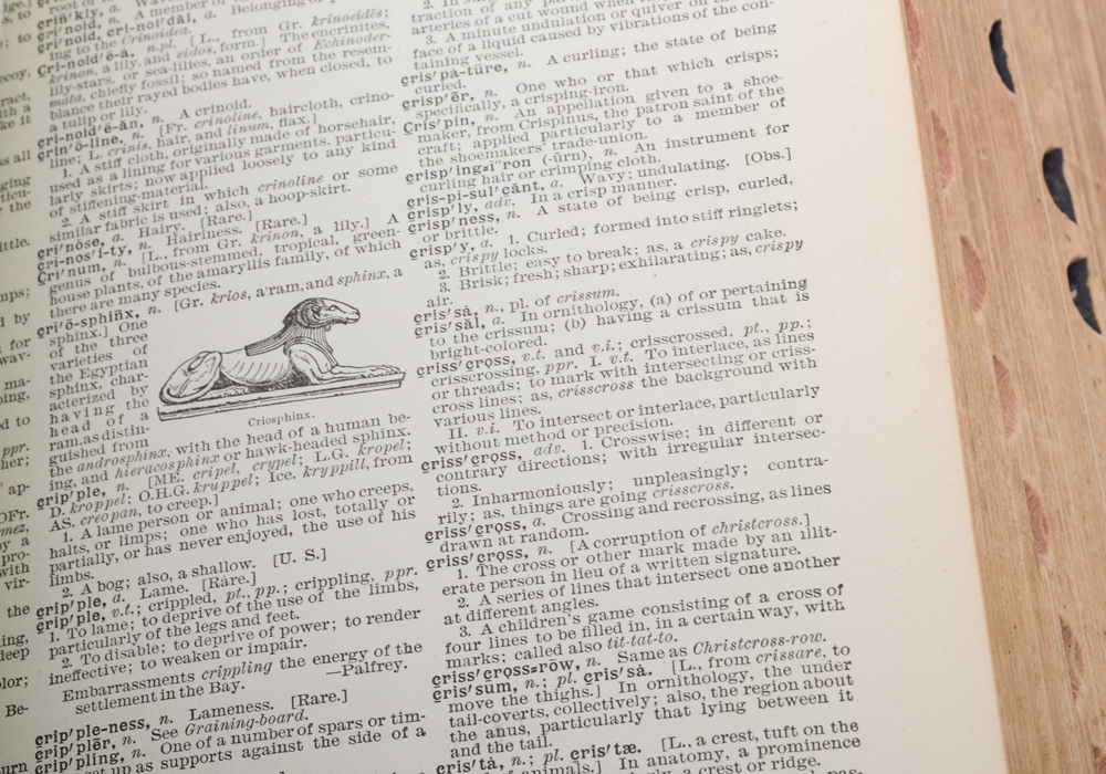 1913 Leatherbound Websters  Dictionary with Illustrations