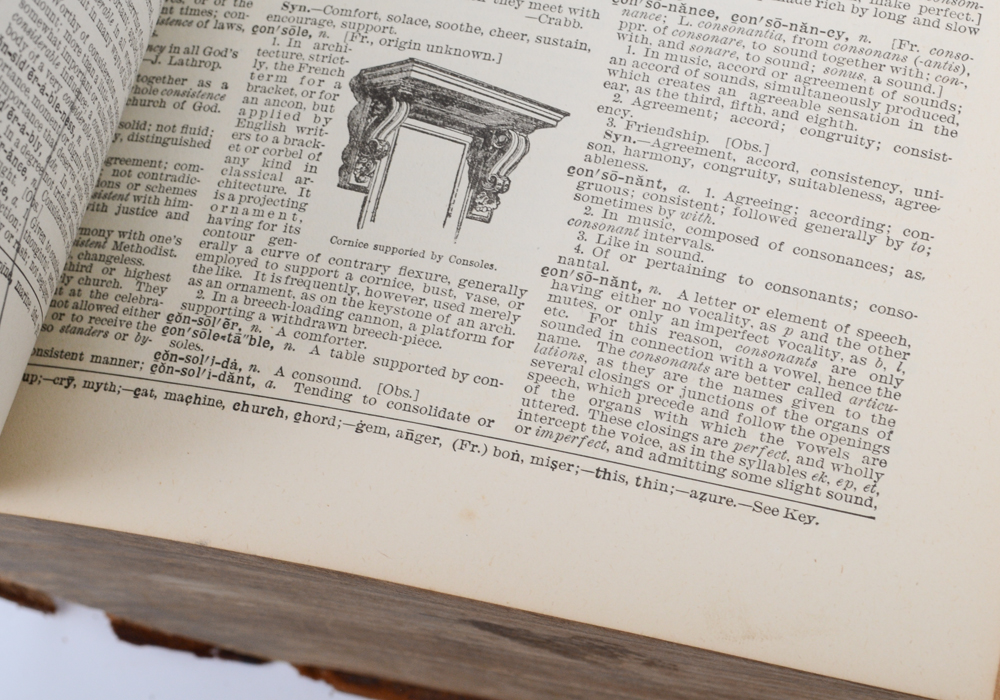 1913 Leatherbound Websters  Dictionary with Illustrations