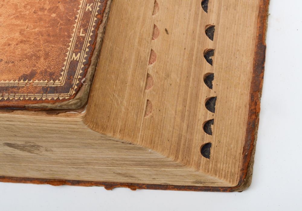 1913 Leatherbound Websters  Dictionary with Illustrations