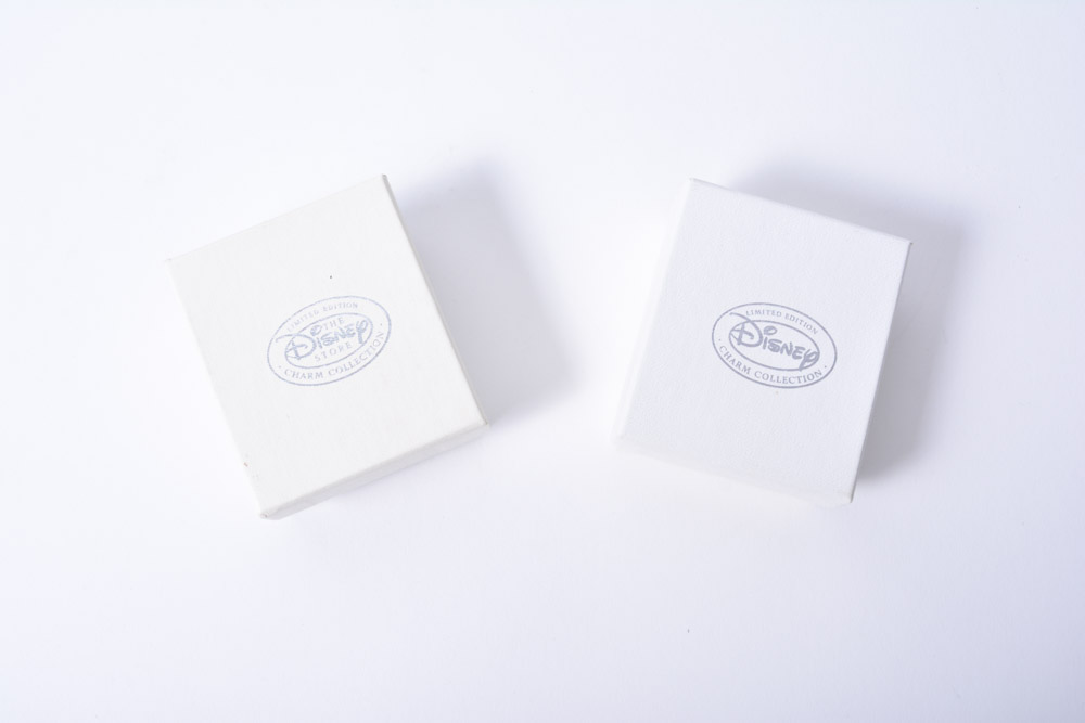 Sterling Silver Cinderella and Belle Disney Princess Pendants on Chain