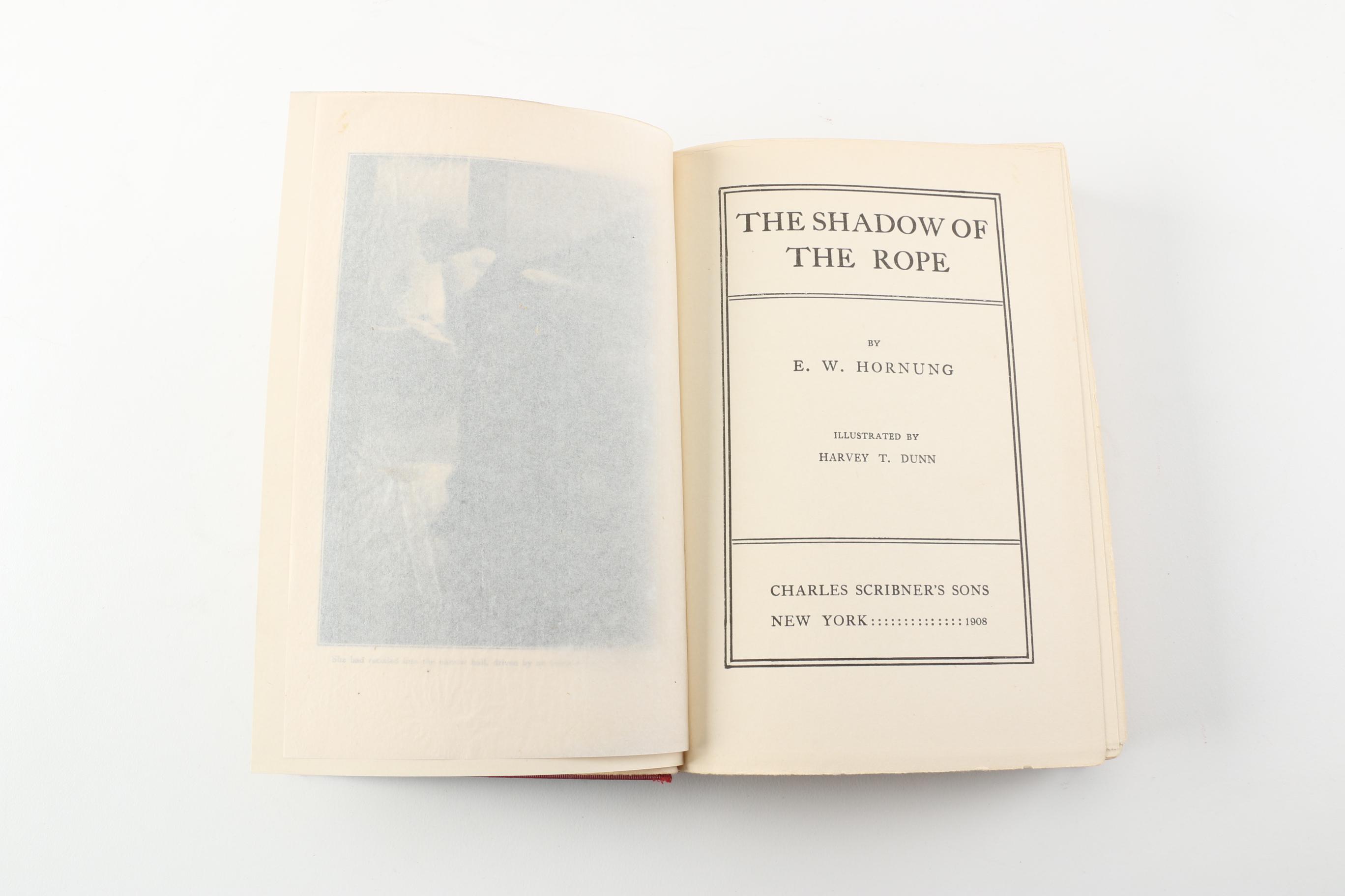 Vintage Harvey Dunn Illustrated Books